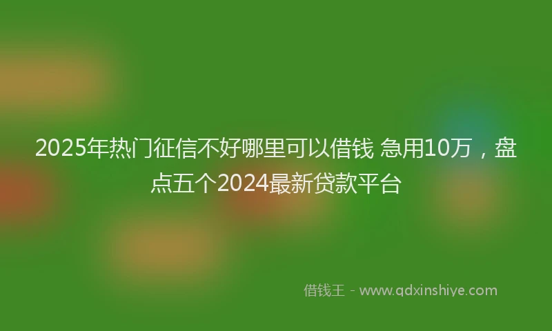 2025年热门征信不好哪里可以借钱 急用10万，盘点五个2024最新贷款平台