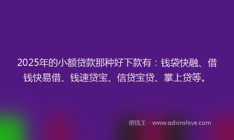 2025年的小额贷款那种好下款有：钱袋快融、借钱快易借、钱速贷宝、信贷宝贷、掌上贷等。