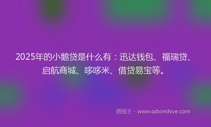 2025年的小鹅贷是什么有：迅达钱包、福瑞贷、启航商城、哆哆米、借贷易宝等。