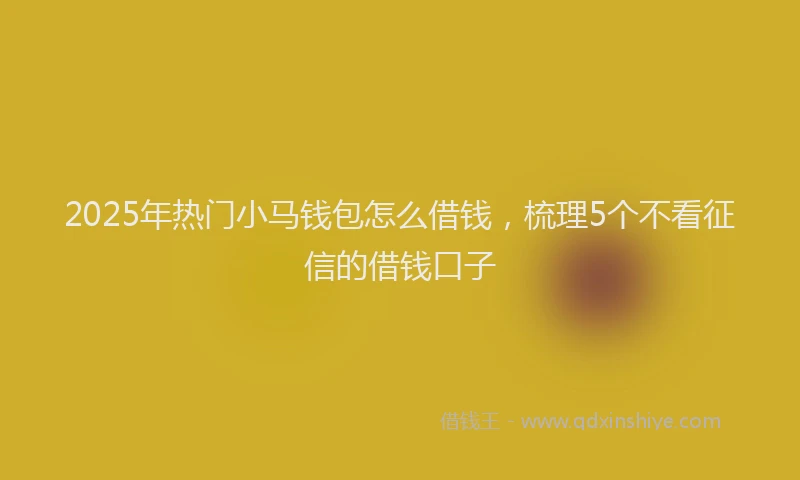 2025年热门小马钱包怎么借钱，梳理5个不看征信的借钱口子