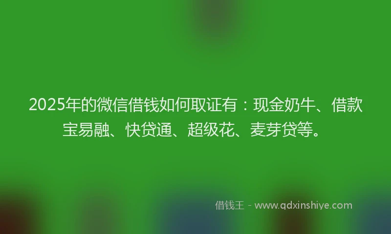 2025年的微信借钱如何取证有：现金奶牛、借款宝易融、快贷通、超级花、麦芽贷等。