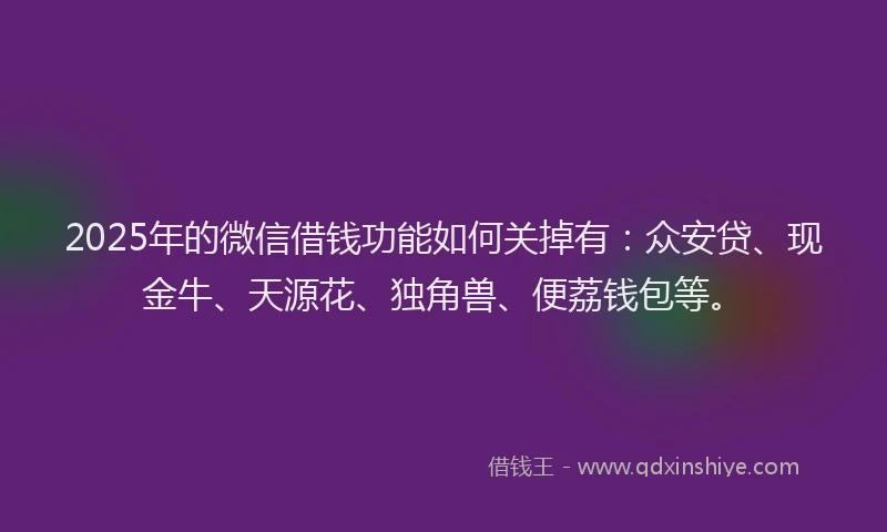 2025年的微信借钱功能如何关掉有：众安贷、现金牛、天源花、独角兽、便荔钱包等。