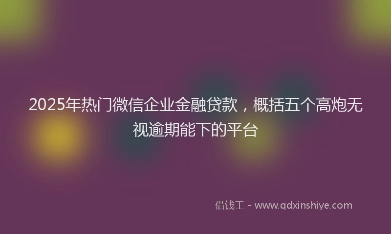 2025年热门微信企业金融贷款，概括五个高炮无视逾期能下的平台