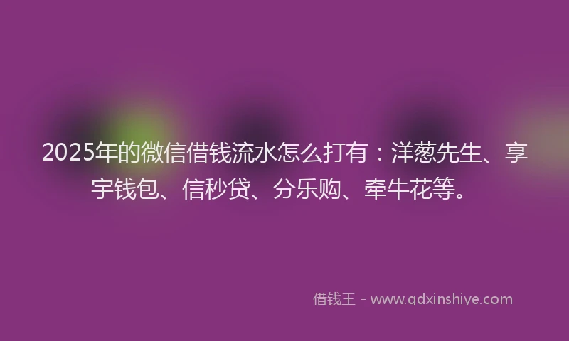2025年的微信借钱流水怎么打有：洋葱先生、享宇钱包、信秒贷、分乐购、牵牛花等。