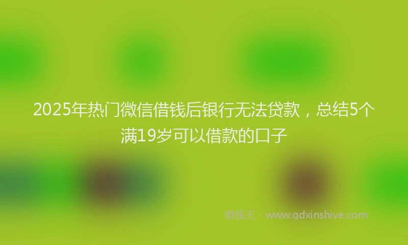 2025年热门微信借钱后银行无法贷款，总结5个满19岁可以借款的口子