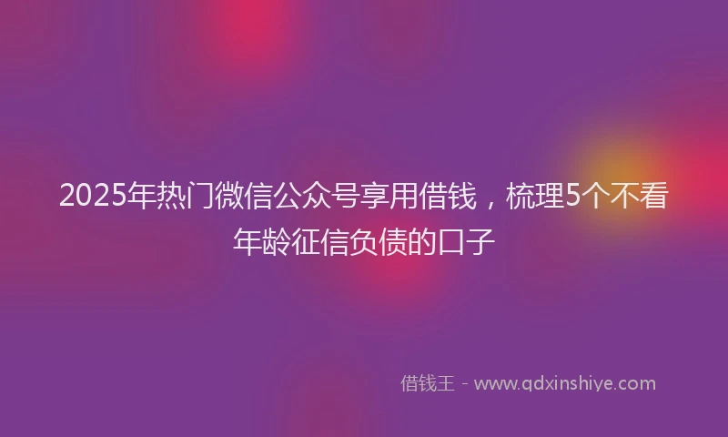 2025年热门微信公众号享用借钱，梳理5个不看年龄征信负债的口子