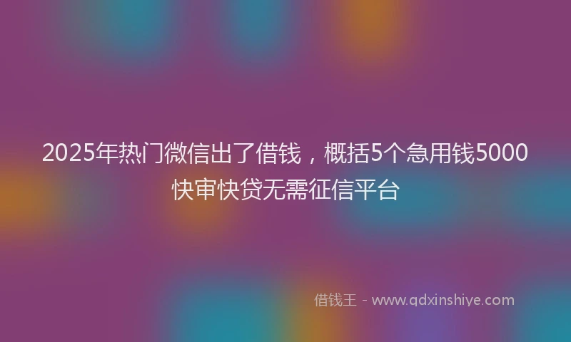 2025年热门微信出了借钱，概括5个急用钱5000快审快贷无需征信平台