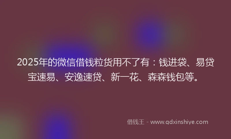 2025年的微信借钱粒货用不了有：钱进袋、易贷宝速易、安逸速贷、新一花、森森钱包等。