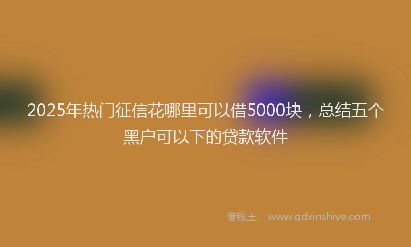 2025年热门征信花哪里可以借5000块，总结五个黑户可以下的贷款软件