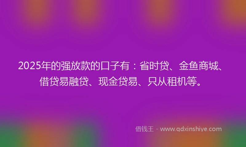 2025年的强放款的口子有：省时贷、金鱼商城、借贷易融贷、现金贷易、只从租机等。