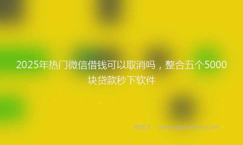 2025年热门微信借钱可以取消吗，整合五个5000块贷款秒下软件