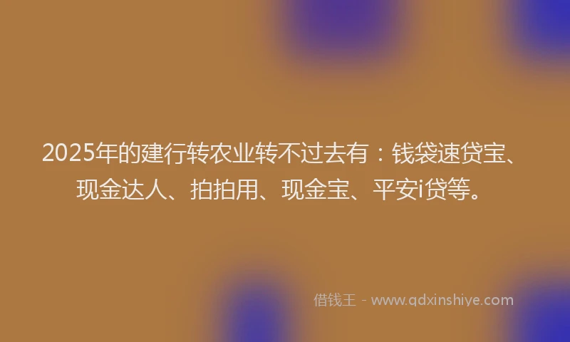 2025年的建行转农业转不过去有：钱袋速贷宝、现金达人、拍拍用、现金宝、平安i贷等。