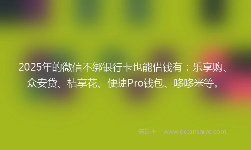 2025年的微信不绑银行卡也能借钱有：乐享购、众安贷、桔享花、便捷Pro钱包、哆哆米等。