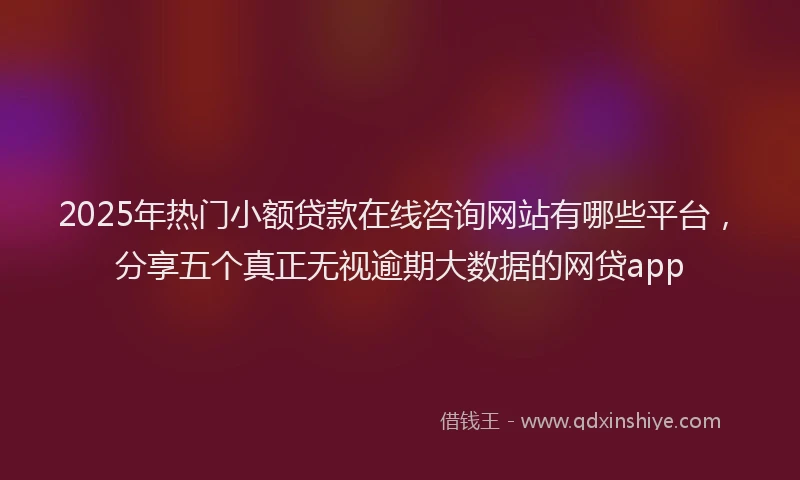 2025年热门小额贷款在线咨询网站有哪些平台，分享五个真正无视逾期大数据的网贷app