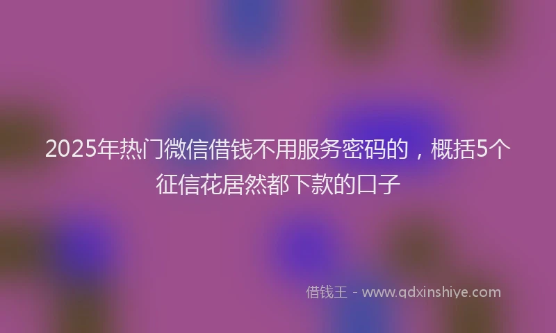 2025年热门微信借钱不用服务密码的，概括5个征信花居然都下款的口子