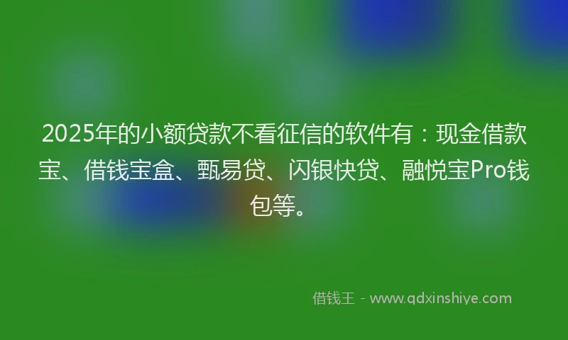 2025年的小额贷款不看征信的软件有：现金借款宝、借钱宝盒、甄易贷、闪银快贷、融悦宝Pro钱包等。