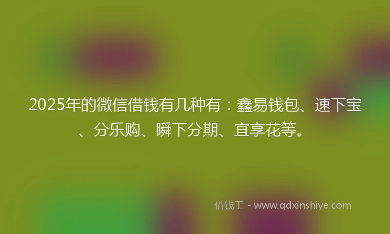 2025年的微信借钱有几种有：鑫易钱包、速下宝、分乐购、瞬下分期、宜享花等。
