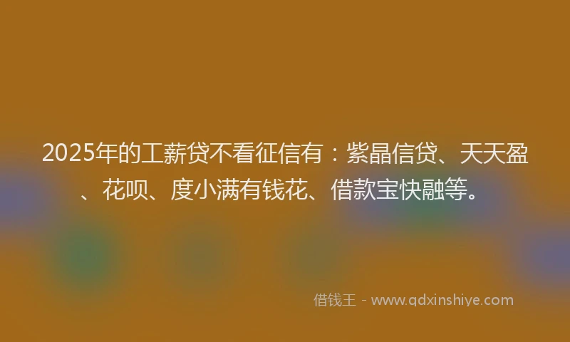 2025年的工薪贷不看征信有：紫晶信贷、天天盈、花呗、度小满有钱花、借款宝快融等。