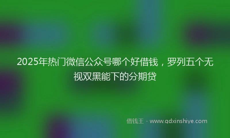 2025年热门微信公众号哪个好借钱，罗列五个无视双黑能下的分期贷