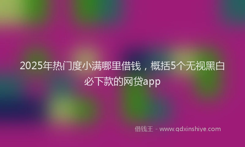 2025年热门度小满哪里借钱，概括5个无视黑白必下款的网贷app