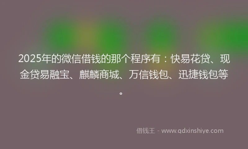 2025年的微信借钱的那个程序有：快易花贷、现金贷易融宝、麒麟商城、万信钱包、迅捷钱包等。