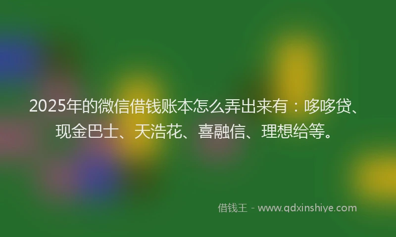 2025年的微信借钱账本怎么弄出来有：哆哆贷、现金巴士、天浩花、喜融信、理想给等。