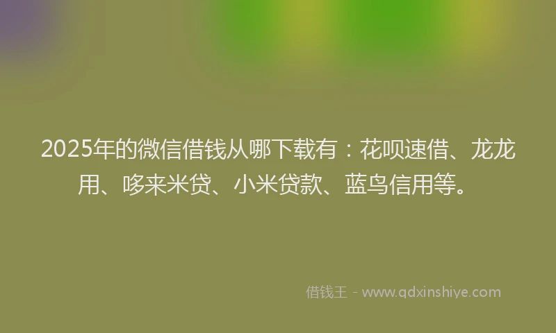 2025年的微信借钱从哪下载有：花呗速借、龙龙用、哆来米贷、小米贷款、蓝鸟信用等。