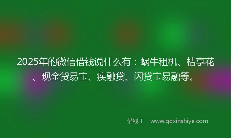 2025年的微信借钱说什么有：蜗牛租机、桔享花、现金贷易宝、疾融贷、闪贷宝易融等。