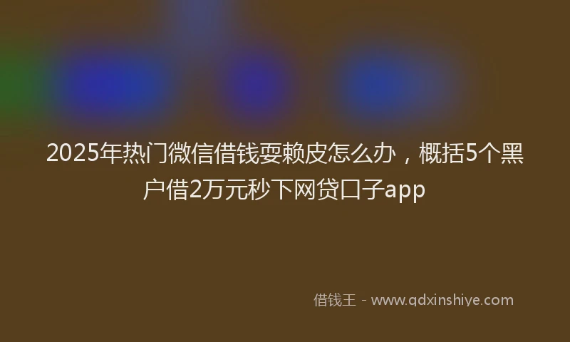 2025年热门微信借钱耍赖皮怎么办，概括5个黑户借2万元秒下网贷口子app