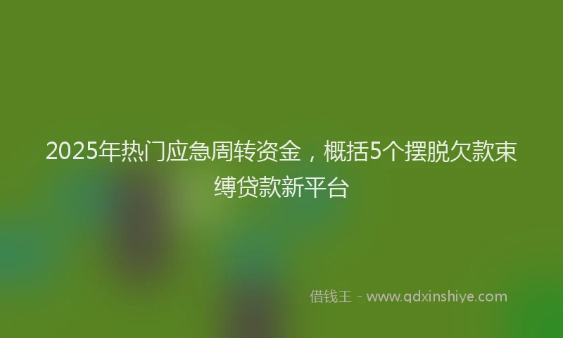 2025年热门应急周转资金，概括5个摆脱欠款束缚贷款新平台