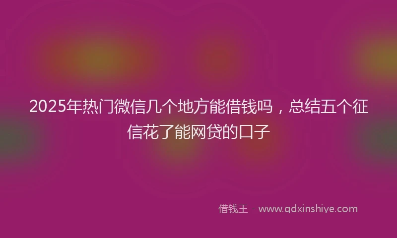 2025年热门微信几个地方能借钱吗，总结五个征信花了能网贷的口子