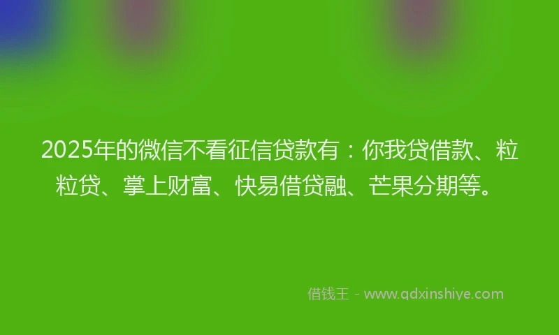 2025年的微信不看征信贷款有：你我贷借款、粒粒贷、掌上财富、快易借贷融、芒果分期等。