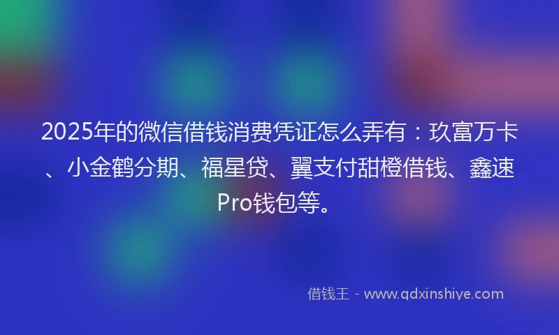 2025年的微信借钱消费凭证怎么弄有：玖富万卡、小金鹤分期、福星贷、翼支付甜橙借钱、鑫速Pro钱包等。