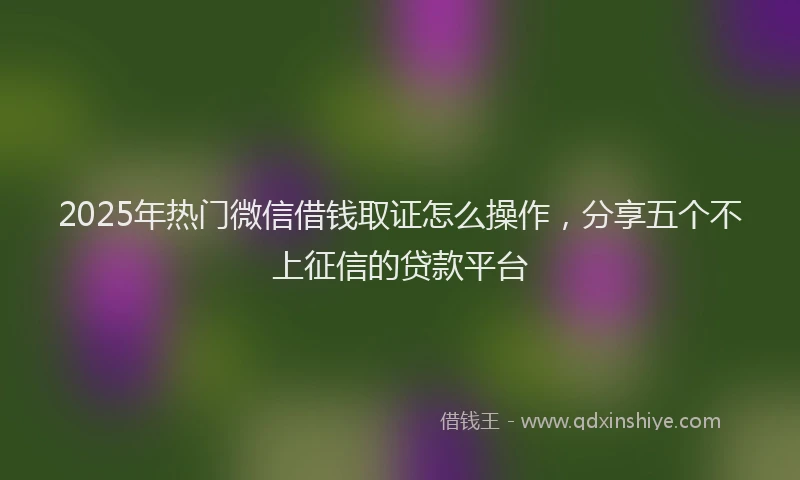 2025年热门微信借钱取证怎么操作，分享五个不上征信的贷款平台