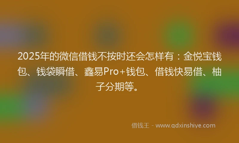 2025年的微信借钱不按时还会怎样有：金悦宝钱包、钱袋瞬借、鑫易Pro+钱包、借钱快易借、柚子分期等。