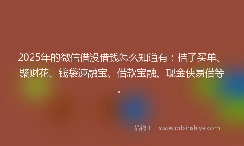 2025年的微信借没借钱怎么知道有：桔子买单、聚财花、钱袋速融宝、借款宝融、现金侠易借等。