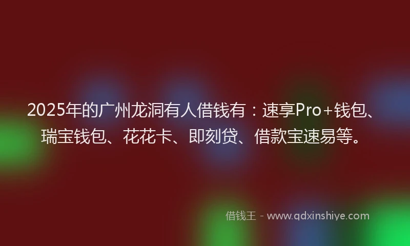 2025年的广州龙洞有人借钱有：速享Pro+钱包、瑞宝钱包、花花卡、即刻贷、借款宝速易等。