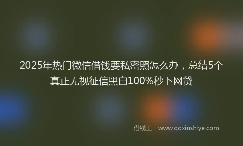 2025年热门微信借钱要私密照怎么办，总结5个真正无视征信黑白100%秒下网贷