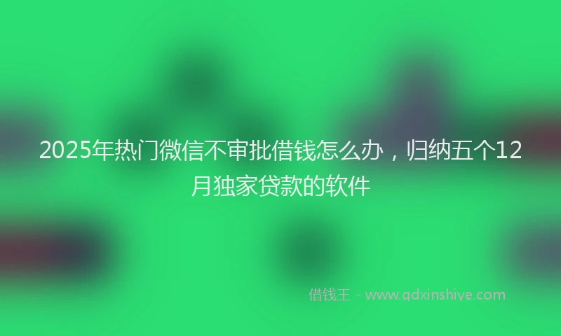 2025年热门微信不审批借钱怎么办，归纳五个12月独家贷款的软件