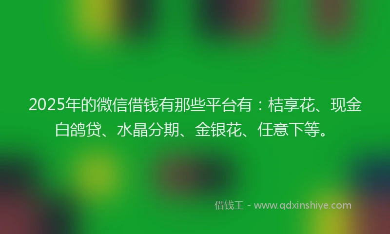 2025年的微信借钱有那些平台有:桔享花、现金白鸽贷、水晶分期、金银花、任意下等。