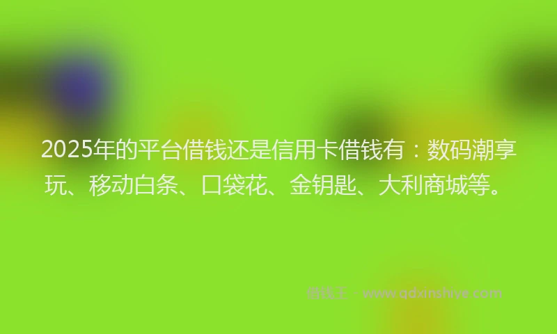 2025年的平台借钱还是信用卡借钱有：数码潮享玩、移动白条、口袋花、金钥匙、大利商城等。