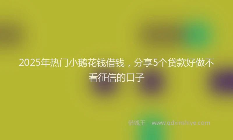2025年热门小鹅花钱借钱，分享5个贷款好做不看征信的口子