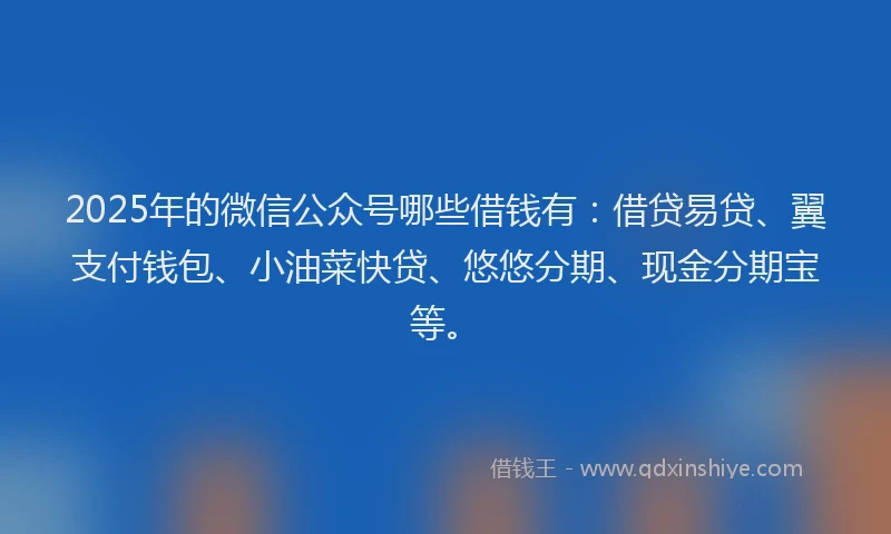2025年的微信公众号哪些借钱有：借贷易贷、翼支付钱包、小油菜快贷、悠悠分期、现金分期宝等。