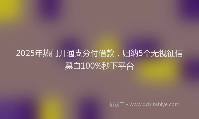 2025年热门开通支分付借款，归纳5个无视征信黑白100%秒下平台