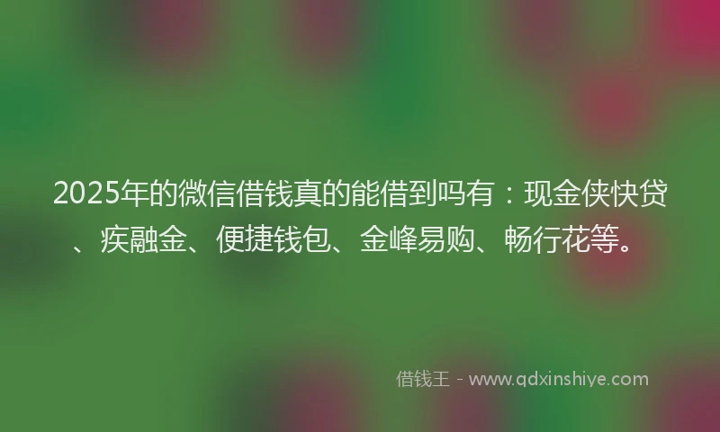 2025年的微信借钱真的能借到吗有：现金侠快贷、疾融金、便捷钱包、金峰易购、畅行花等。