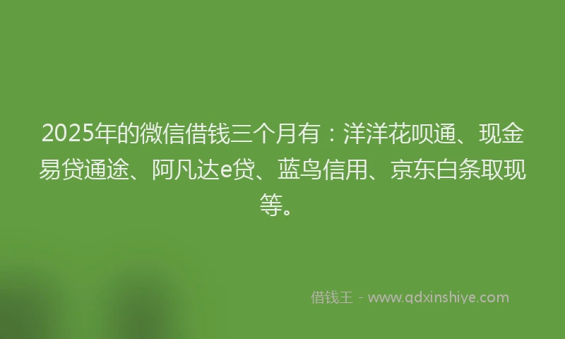 2025年的微信借钱三个月有：洋洋花呗通、现金易贷通途、阿凡达e贷、蓝鸟信用、京东白条取现等。