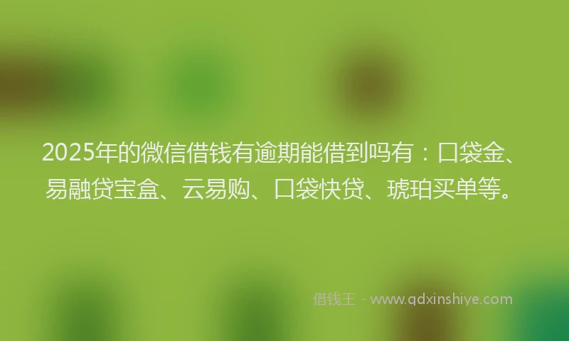2025年的微信借钱有逾期能借到吗有：口袋金、易融贷宝盒、云易购、口袋快贷、琥珀买单等。