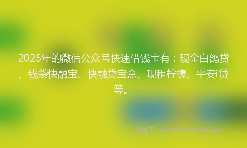 2025年的微信公众号快速借钱宝有：现金白鸽贷、钱袋快融宝、快融贷宝盒、现租柠檬、平安i贷等。
