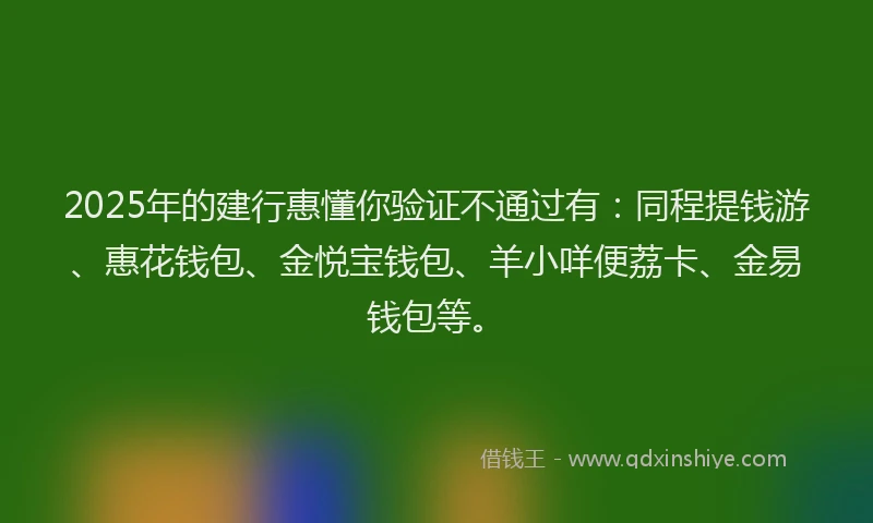 2025年的建行惠懂你验证不通过有：同程提钱游、惠花钱包、金悦宝钱包、羊小咩便荔卡、金易钱包等。