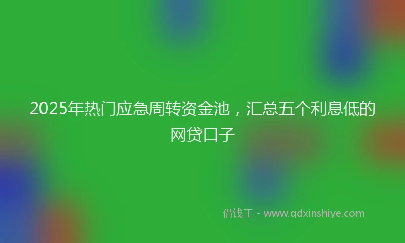 2025年热门应急周转资金池，汇总五个利息低的网贷口子